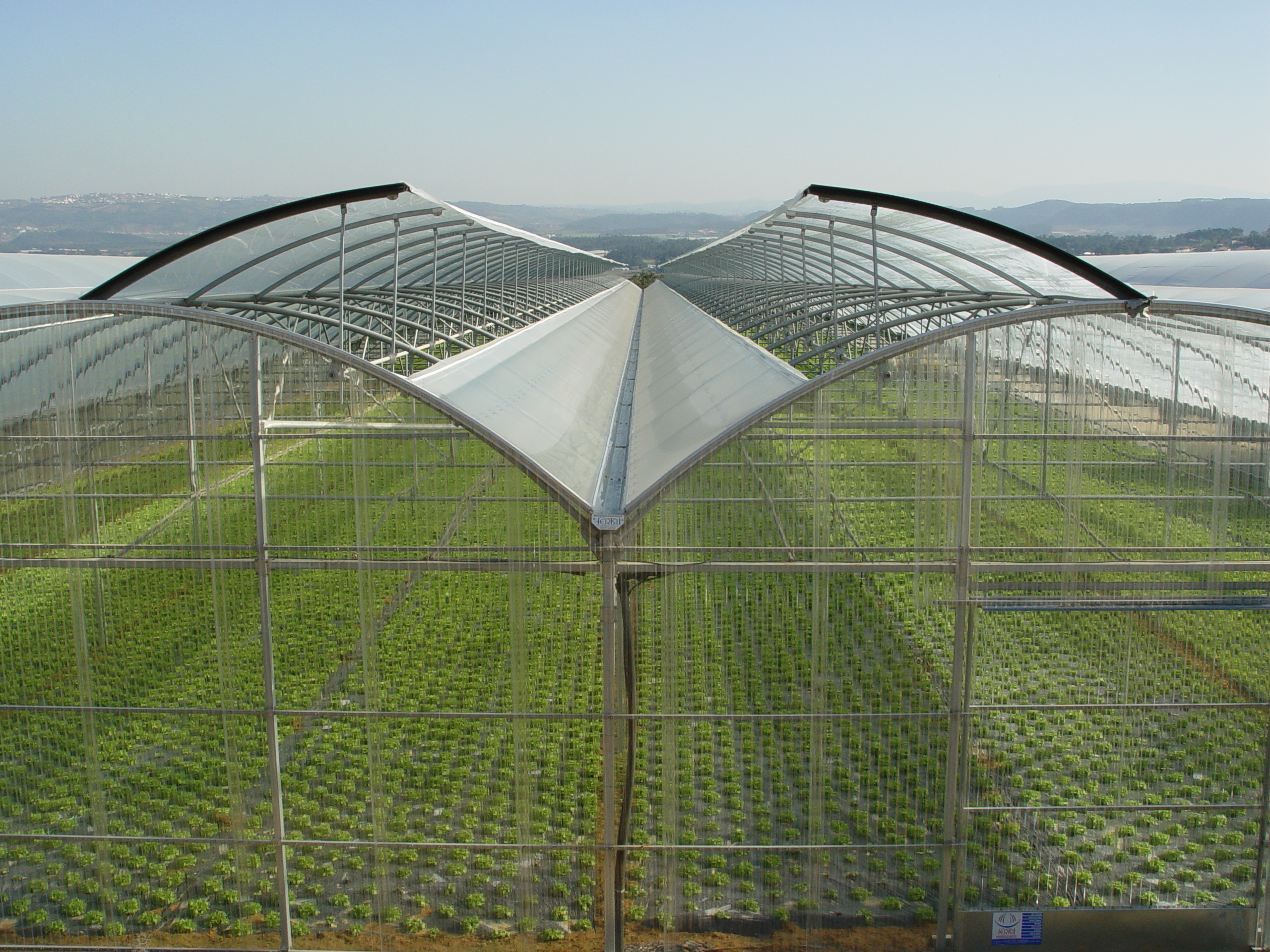 Aanzicht foliekassen bij een de gier project